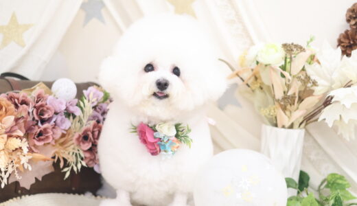 2/11(火)　9時～　セール