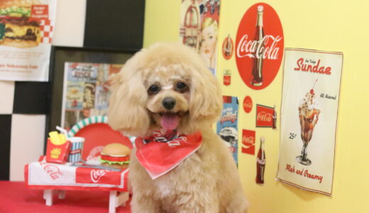 4月22日・23日🐶