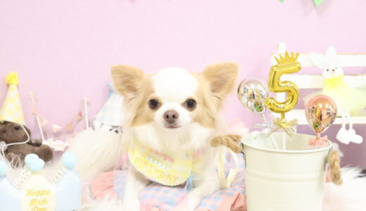 お誕生日おめでとうございます🍰✨