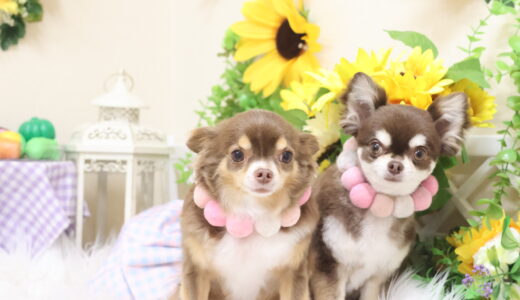 7月も残りわずかですね😭