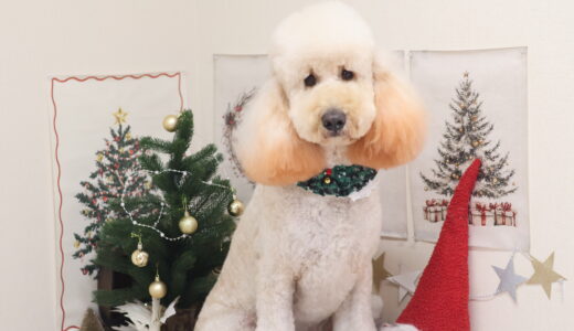 久しぶりの投稿💦