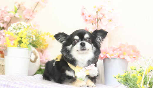 お久しぶりの投稿です🙇